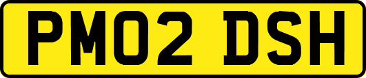 PM02DSH