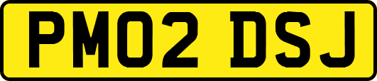 PM02DSJ