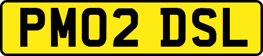 PM02DSL