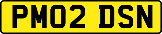 PM02DSN