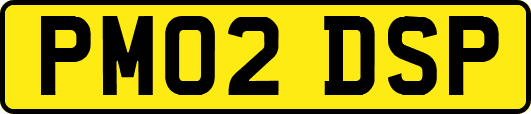 PM02DSP