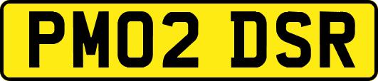 PM02DSR