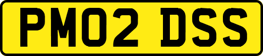 PM02DSS