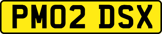 PM02DSX