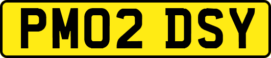PM02DSY