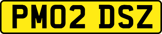 PM02DSZ