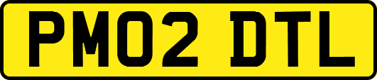 PM02DTL