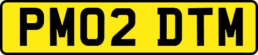 PM02DTM