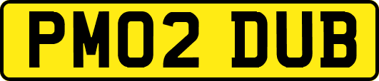 PM02DUB