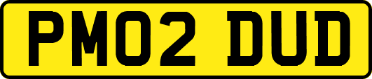 PM02DUD