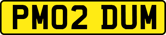 PM02DUM