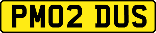 PM02DUS