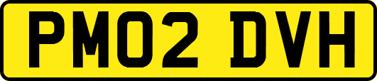 PM02DVH