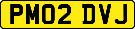 PM02DVJ