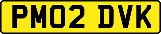 PM02DVK