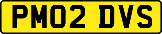 PM02DVS