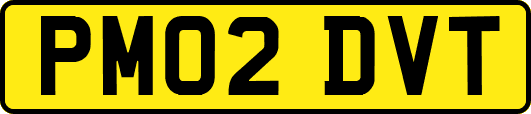 PM02DVT