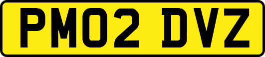 PM02DVZ