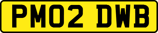 PM02DWB