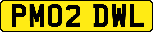 PM02DWL