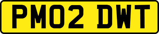PM02DWT