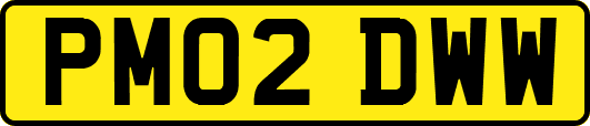 PM02DWW