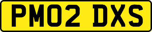 PM02DXS