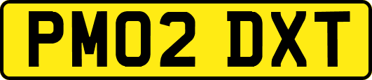 PM02DXT