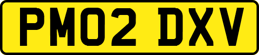 PM02DXV