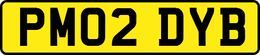 PM02DYB