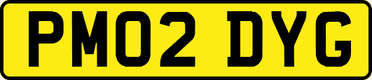PM02DYG