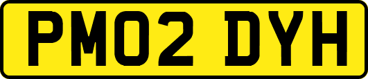PM02DYH