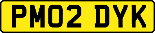 PM02DYK
