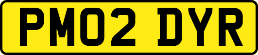 PM02DYR