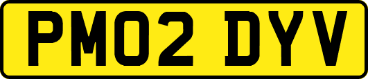 PM02DYV