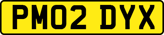 PM02DYX