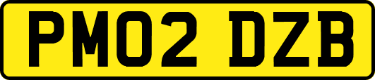 PM02DZB