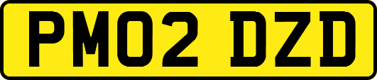 PM02DZD