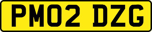 PM02DZG