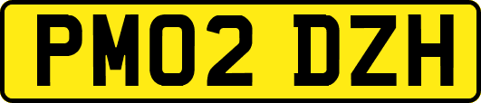 PM02DZH