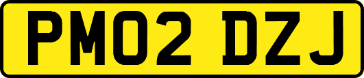 PM02DZJ