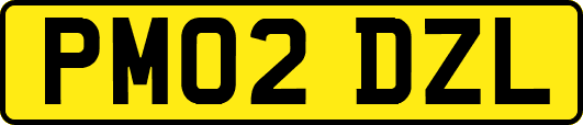 PM02DZL