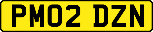 PM02DZN