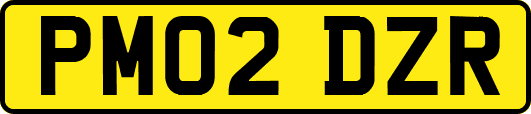 PM02DZR