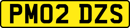 PM02DZS