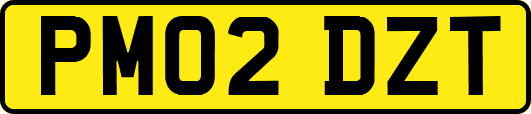 PM02DZT
