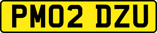 PM02DZU