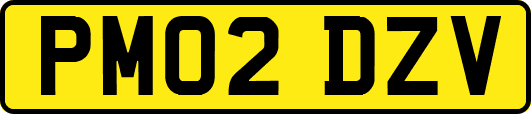 PM02DZV