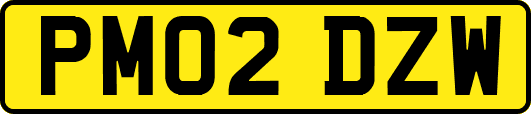 PM02DZW