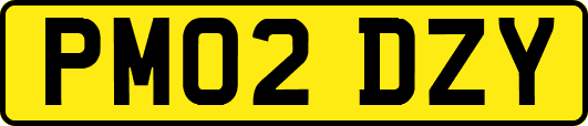 PM02DZY
